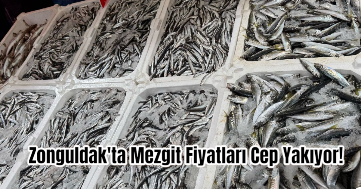 Zonguldak'ta Mezgit Fiyatları Cep Yakıyor!
