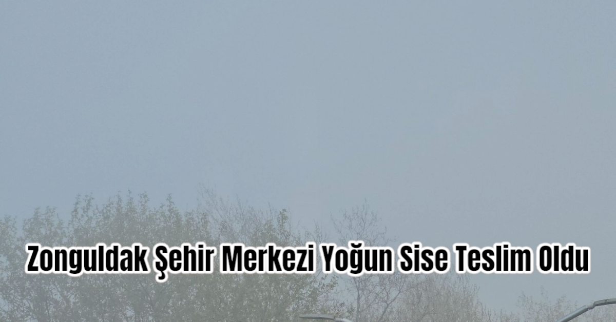 Zonguldak Şehir Merkezi Yoğun Sise Teslim Oldu