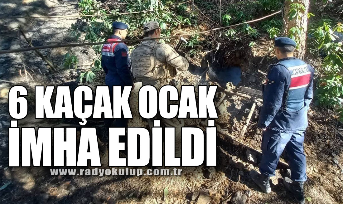 6 KAÇAK OCAK İMHA EDİLDİ