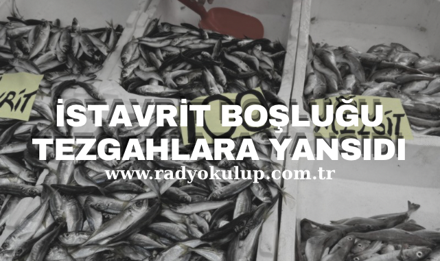 İstavrit boşluğu tezgahlara yansıdı