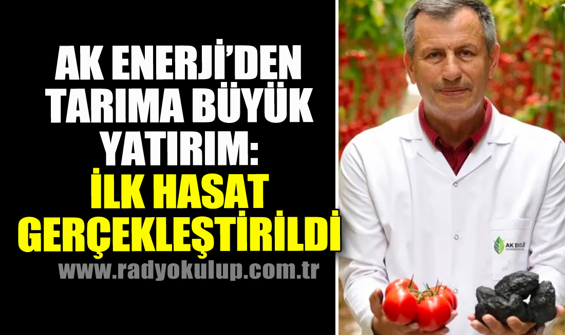 Ak Enerji’den Tarıma Büyük Yatırım: İlk Hasat Gerçekleştirildi